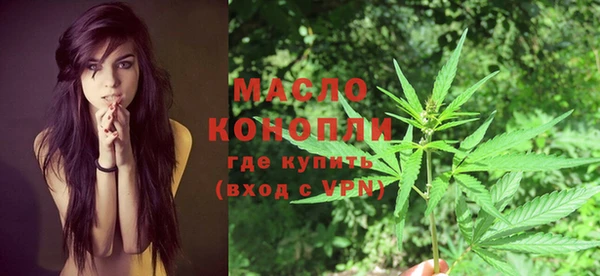 индика Михайловск