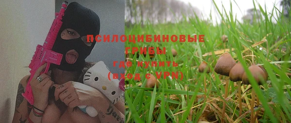 МДПВ Навашино