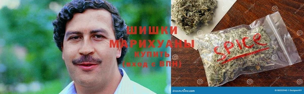 индика Михайловск