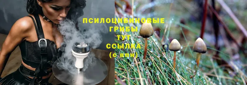 что такое   Нижние Серги  Галлюциногенные грибы GOLDEN TEACHER 